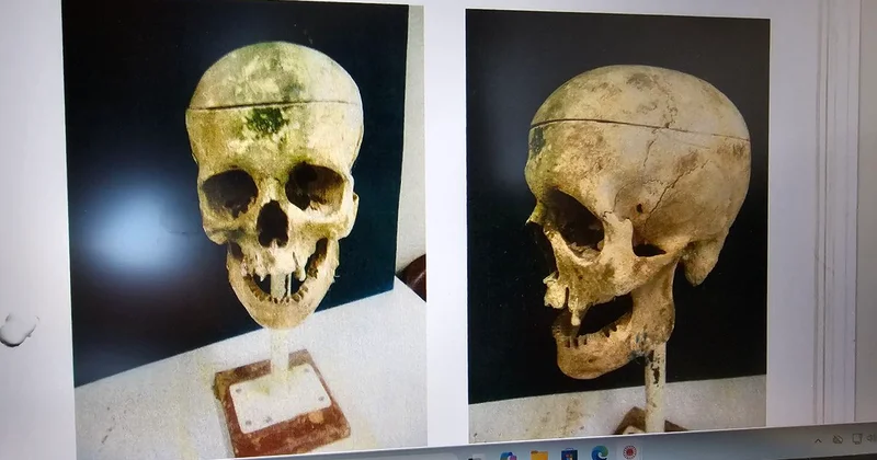 Kemikleri barajdan çıkmıştı! Kirpi Ahmet cinayeti çözüldü