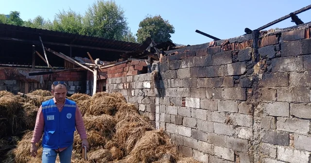 Yangında 500 balya samanı yanan üreticiye Büyükşehir den destek Muğla Haberleri Habertürk Yerel Haberler