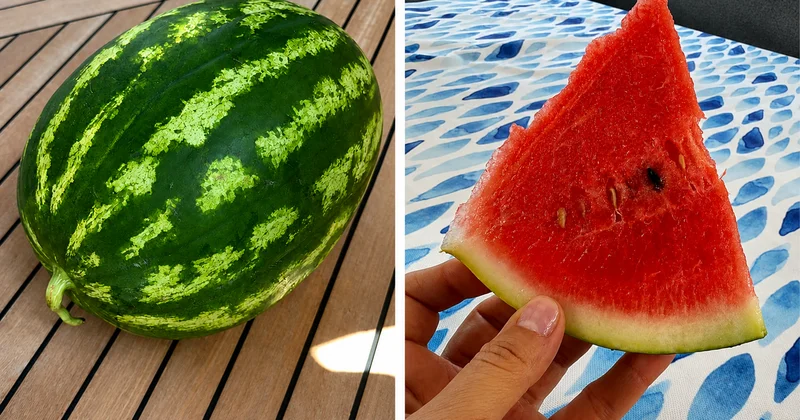 Ebru Yaşar’ın canı karpuz isterse: Diyarbakır’dan Saint Tropez’ye 4 bin kilometrelik yolculuk