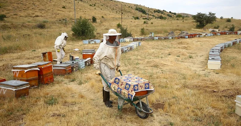 Evlerini bırakıp kovanlarla göç ediyorlar: 26 yıldır bitmeyen yolculuk Sözcü Gazetesi