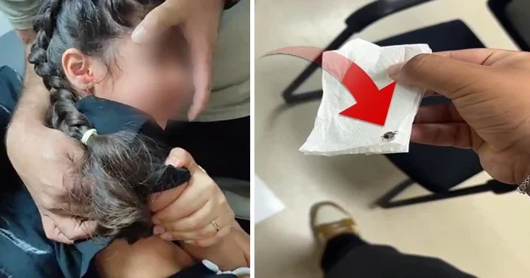 1 aydır kulak ağrısı yaşıyordu: 5 yaşındaki çocuğun kulağından çıktı!