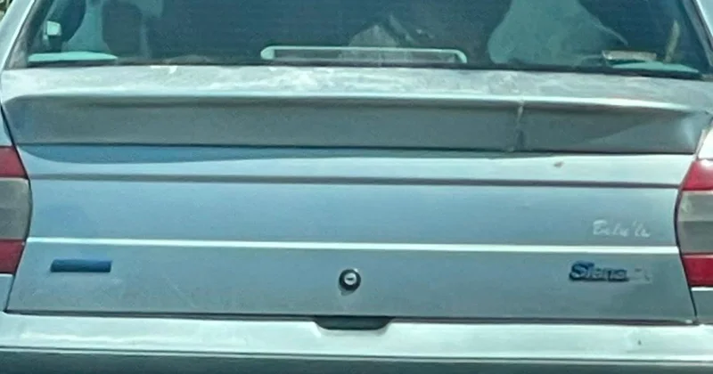 Otomobilde Buzağı Taşınması Görüntülendi
