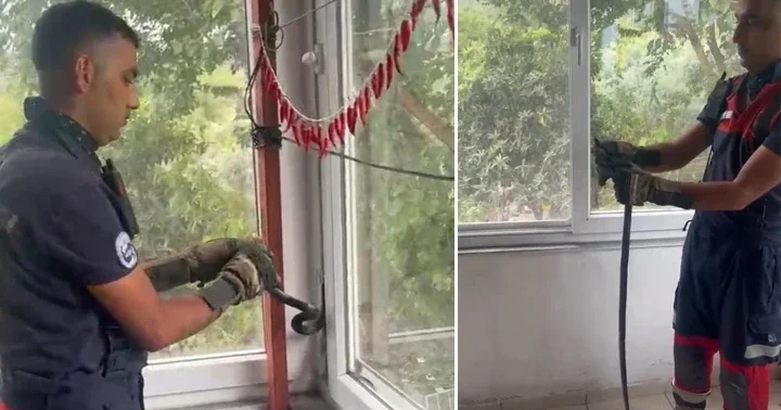 Hatay da yılan evin pencere arasına sıkıştı!