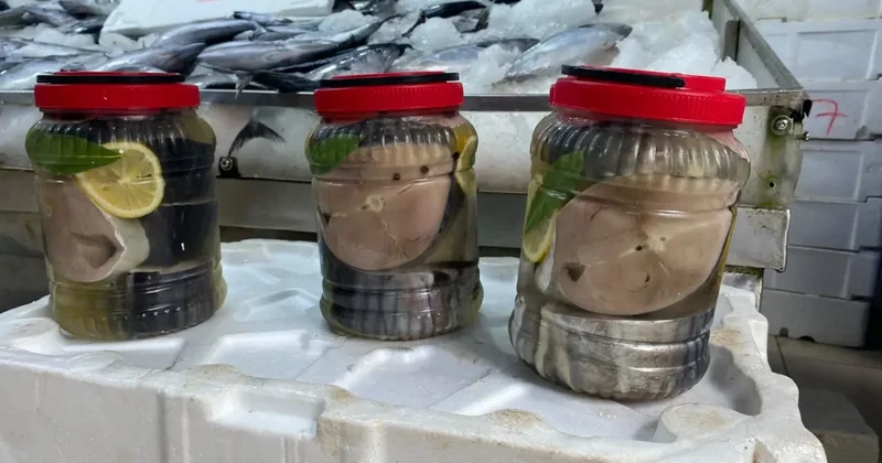 Kestane karası gelmeden lakerda hazırlığı başladı! Buldukları an tuzluyorlar!