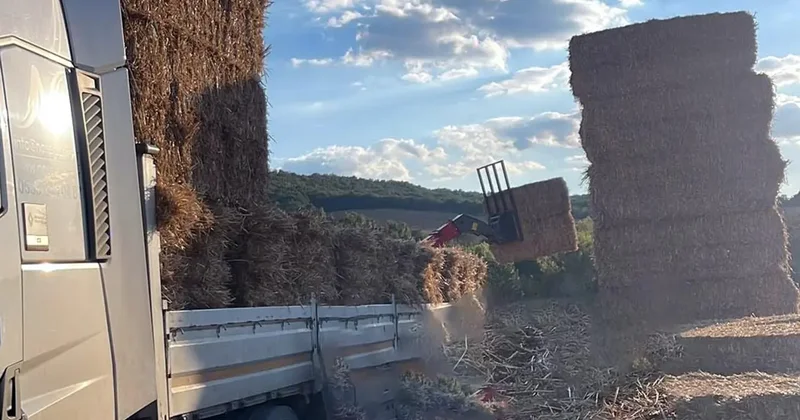 Tekirdağ da feci kaza! 500 kiloluk saman balyaları can aldı