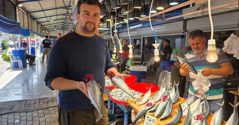 Bandırma’da balık tezgâhlarında palamut bereketi