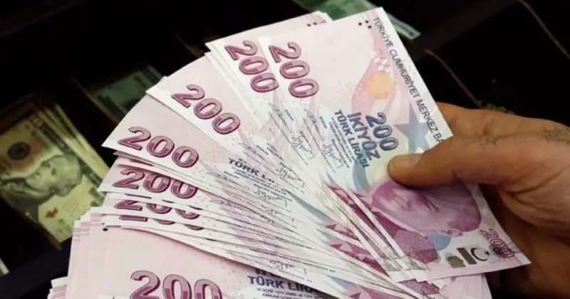 Vatandaşlık maaşı yolda! İhtiyaca göre kira ve gıda yardımı verilecek
