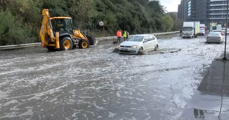 İstanbul da göle dönen yolda yaban domuzu boğuldu