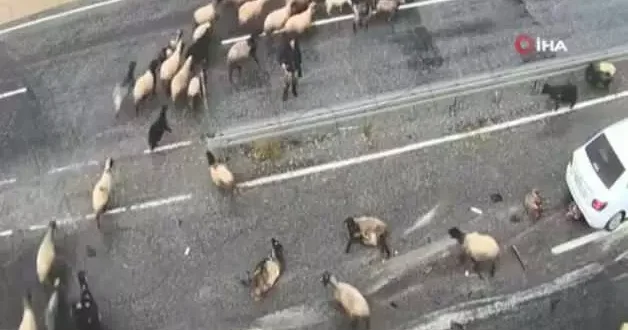 Bitlis teki trafik kazaları kamaraya yansıdı