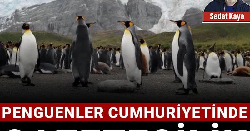 Penguenler Cumhuriyetinde gazetecilik