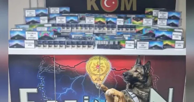 Otobüslerde elektronik sigara ve kartuşu ele geçirildi Erzincan Haberleri