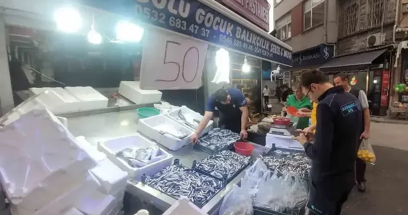 Karadeniz hamsisi tezgahları şenlendirdi: Kilosu 50 liraya düştü Kastamonu Haberleri