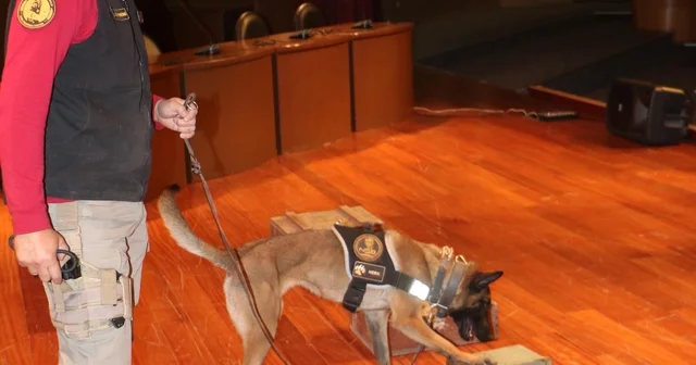 Gösteri yapan narkotik köpek Hera ile fotoğraf için sıraya girdiler Erzurum Haberleri