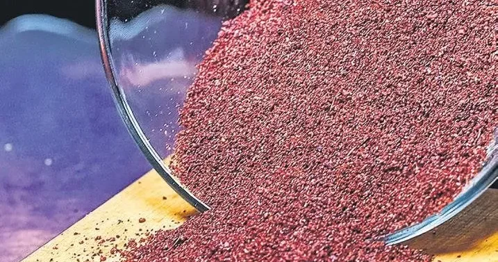 İDİL AÇIKALIN Türk mutfağı ve sumak