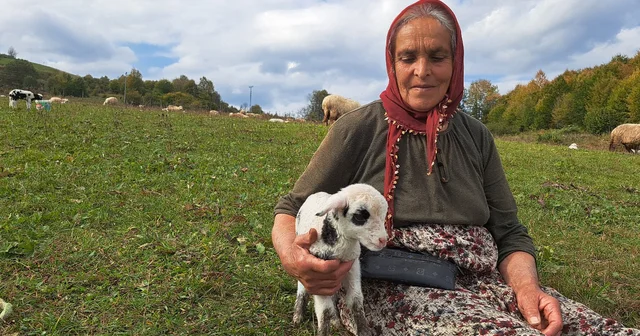 Eşini kaybettikten sonra oğluyla birlikte çobanlık yapıyor Ordu Haberleri