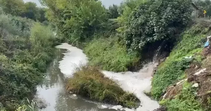Gemlik Körfezi’nde kirlilik endişeye yolaçıyor