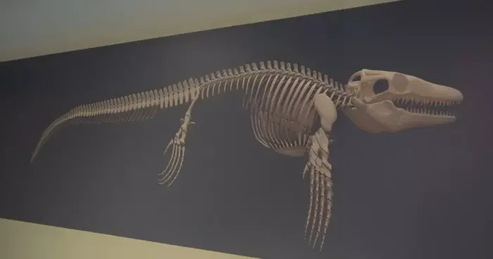 Türk profesör, Asya’da ilk kez keşfedilen denizlerin dinozoru nu anlattı