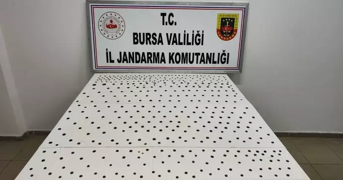 Bursa da tarihi eser niteliğinde 437 sikke ele geçirildi