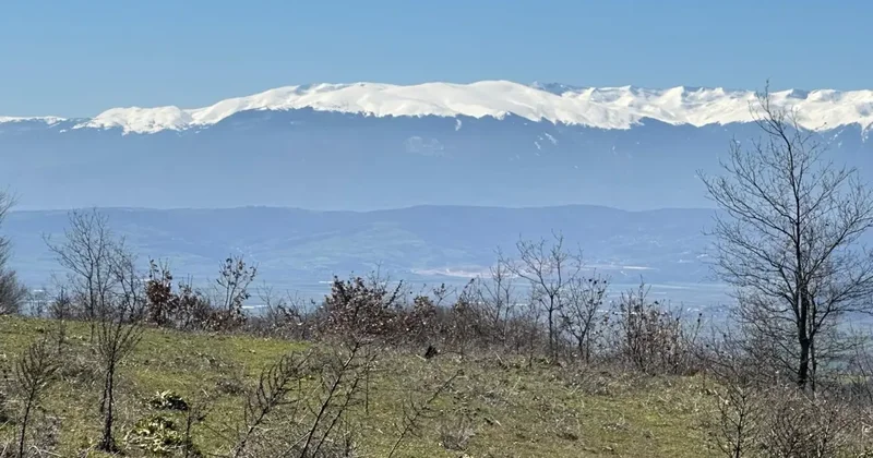 Büyükşehirlerden gelip arazi alıyorlar! Dönüm fiyatı 1 milyon TL’ye çıktı