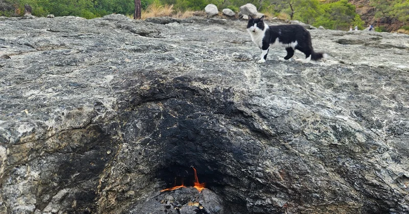 Antalya Kemer de Yanartaş ta bazı ateşler söndü, alevler turist çekmeyi sürdürüyor
