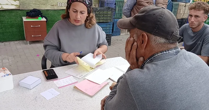 Zeytin 70 liradan 20 25 liraya düştü: Çiftçi yoksa biz yokuz Sözcü Gazetesi