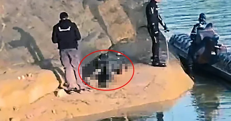 Dalgıç polisler Adana da göle düşen 25 yaşındaki Müslüm U. nun cansız bedenine ulaştı