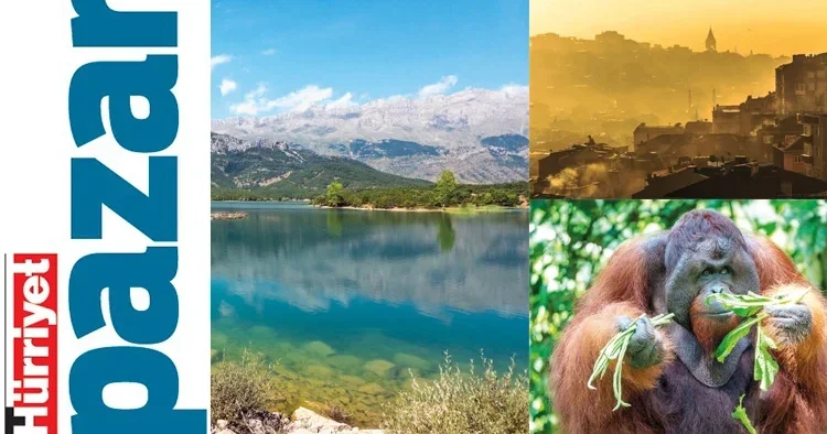 Tatlı su ekosistemlerinin geleceği tehdit altında