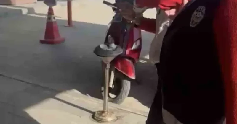 Kediye taşla vuran kadın yakalandı