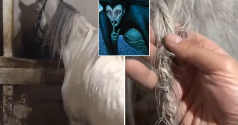 Görüntü Türkiye den: Ahıra giden vatandaş, gördüğü manzara karşısında şaşkına döndü