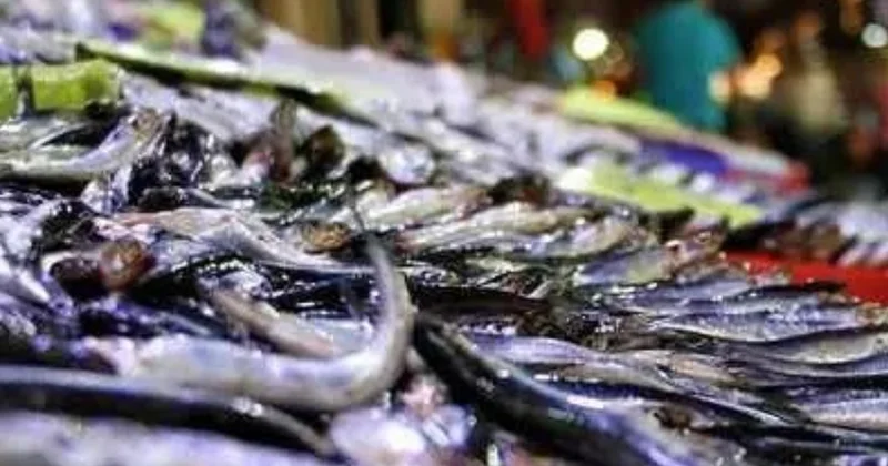 Fiyatı 50 liraya düştü duyan kilo kilo alıyor Sözcü Gazetesi