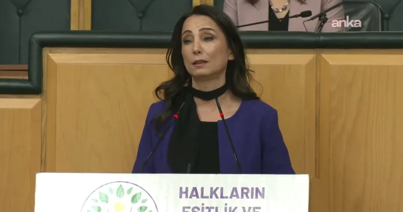 DEM Parti komisyonun Öcalan ile ne konuştuğunu açıkladı