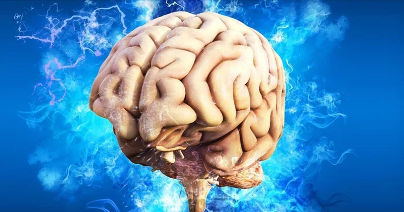 Ergenlik, 32 yaşına kadar sürüyor! Sağlık Haberleri