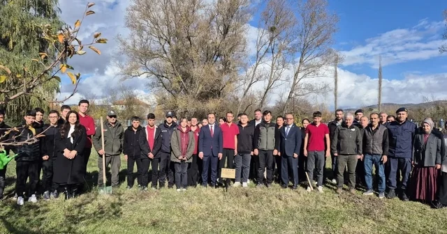 Bilecik te Merve öğretmen anısına 72 fidan dikildi Bilecik Haberleri