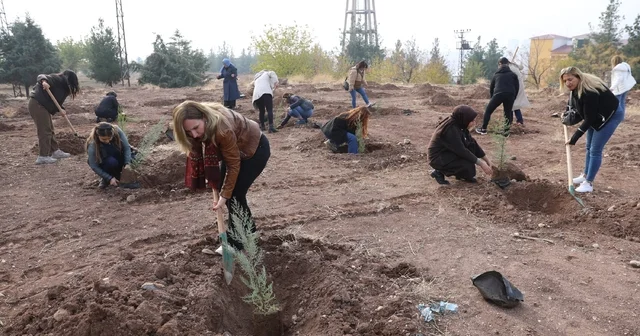 Kadına yönelik şiddete dikkat çekmek amacıyla fidan dikim etkinliği yapıldı Diyarbakır Haberleri