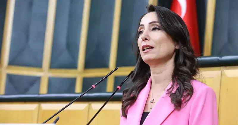 İmralı da ne konuşuldu? DEM Parti den ilk açıklama: Herkese açık olmasını istiyoruz