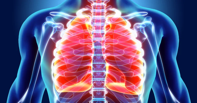 Akciğerleri yaşlandıran 5 gizli risk Sağlık Haberleri