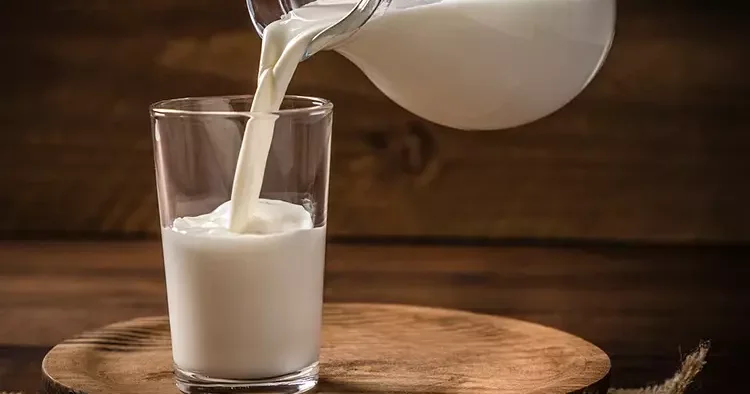 TİGEM 74 bin 665 ton inek sürü satacak