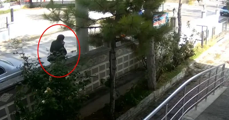 Telefonla aradıkları kadını 2 milyon lira dolandıran şüpheliler, tutuklandı