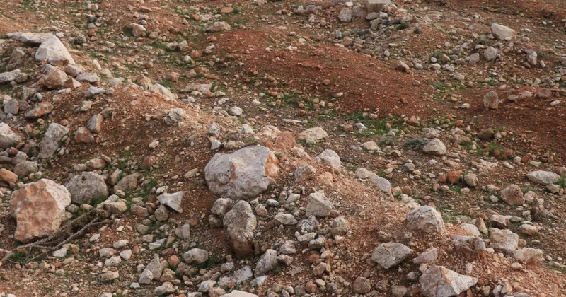 Suriye nin Humus ilinde dört toplu mezar bulundu