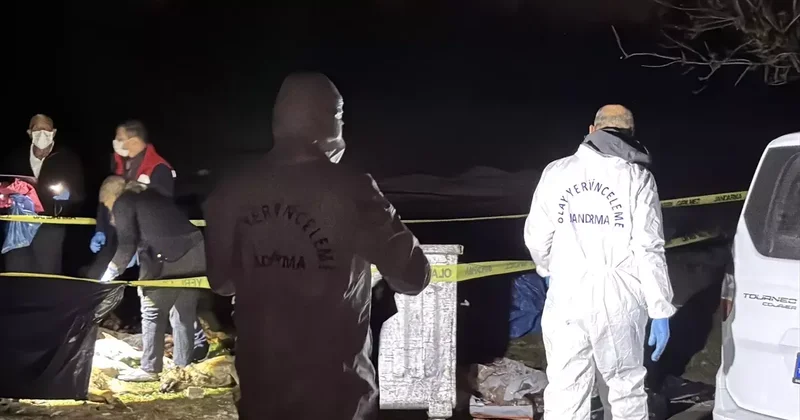 İlkadım da 9 Ölü Köpek Bulundu