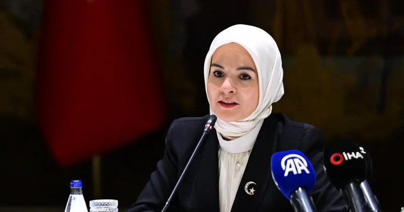 Bakan Göktaş: Kadına yönelik şiddete karşı mücadeleyi en üst seviyede sürdüreceğiz