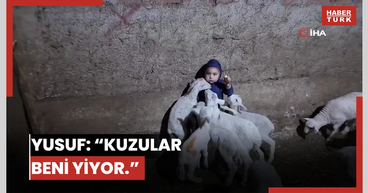 Kuzuların arasında kalan minik Yusuf: Kuzular beni yiyorlar