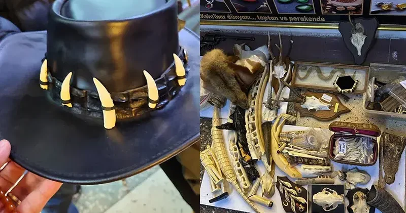 Maltepe de düzenlenen operasyonda çok sayıda yasa dışı yaban hayatı ürünü ele geçirildi