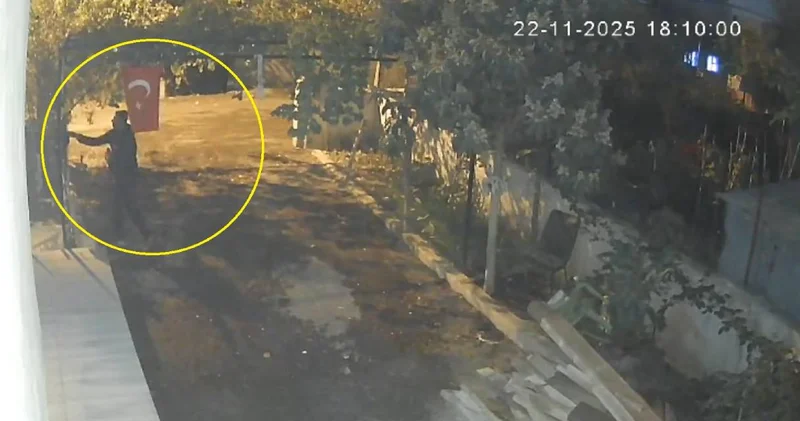 Osmaniye de mavi yumurtlayan tavuk çalındı: Hırsızlık anı kamerada