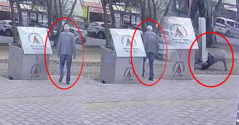 Ekmek almaya çıkan adamın sonu kahretti! Feci anlar kamerada; eşi balkondan öğrendi