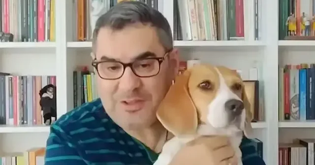 CHP yandaşı gazeteci Enver Aysever’den akla ziyan söyler: Hiçbir hayvan durup dururken hiç kimseyi ısırmaz VİDEO İZLE