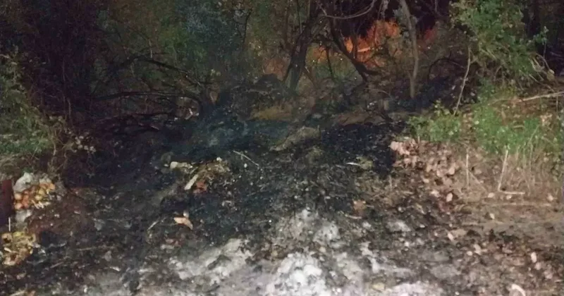 Bucak’ta arazi yangını