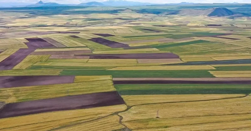 Yatırımda rota değişti, arsa değerinin en çok arttığı 10 il belli oldu