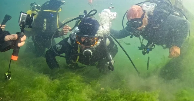 Kocaeli Büyükşehir Belediye Başkanı Büyükakın, İzmit Körfezi ne dalış gerçekleştirdi Kocaeli Haberleri