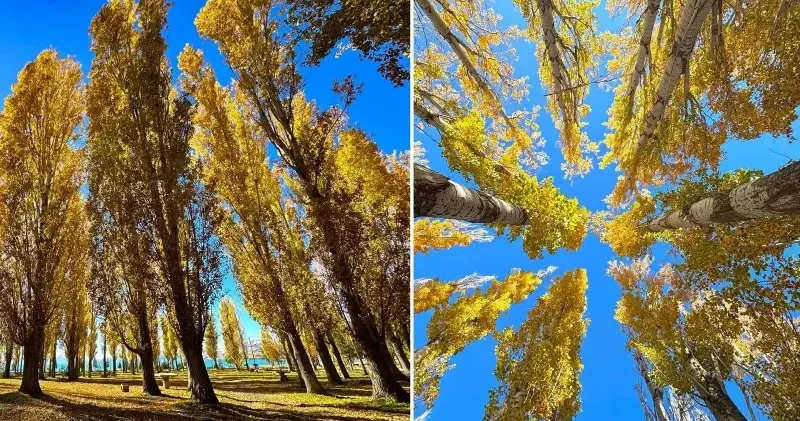 Hazar Gölü nün çevresi sonbahar renklerine büründü Elazığ Haberleri